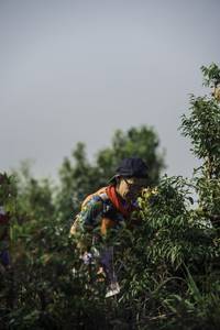 BIB: 
                            <button type="button" onclick="openModal(24733852)" class="btn btn-primary btn-sm float-right btn-popup" data-toggle="modal" data-target=".modal-high-quality">
                        <i class="fas fa-shopping-cart"></i> Add to Cart
                    </button>
                                            <button type="button" onclick="isThisMe(24733852, true)" class="btn btn-success btn-sm float-right btn-popup btn-isme hidden" data-toggle="tooltip" data-placement="bottom" title="นี่คือรูปของคุณใช่ไหม คลิกที่นี่เพื่อเอาเข้าอัลบั้ม">
                        <i class="fas fa-plus"></i> Add to album
                    </button>
                    <button type="button" onclick="isThisMe(24733852, false)" class="btn btn-warning btn-sm float-right btn-popup btn-isnotme hidden">
                        <i class="fas fa-ban"></i> Remove from album
                    </button>